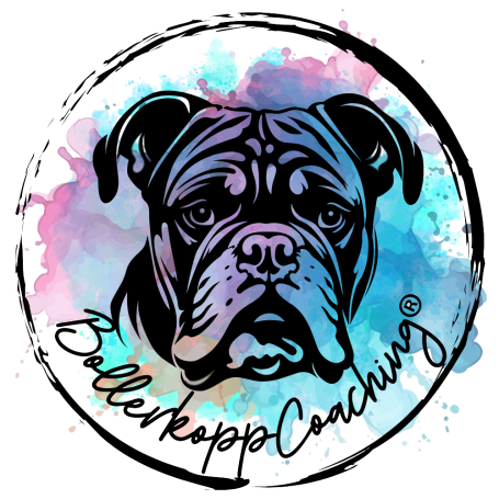 Logo Bollerkopp Coaching